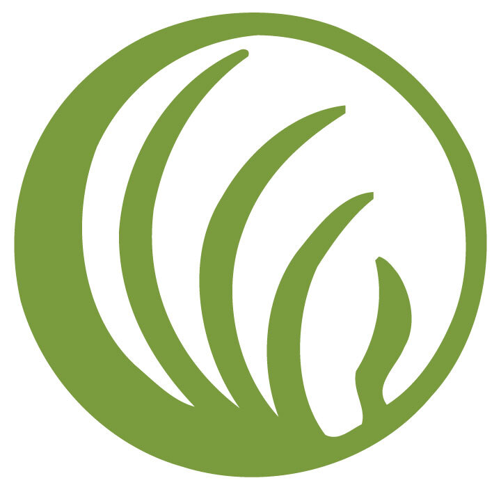 Become a Sponsor or Vendor at the 2025 NAMIWalk! - logo